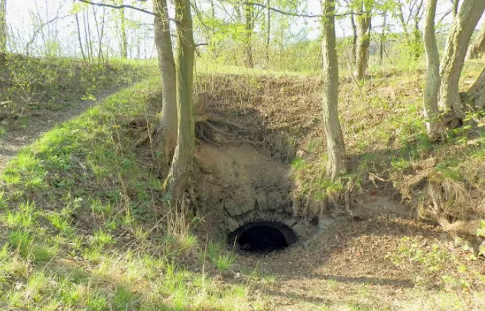 Zřícenina Hradu Choustníkovo Hradiště, Czech Republic (Czechia)